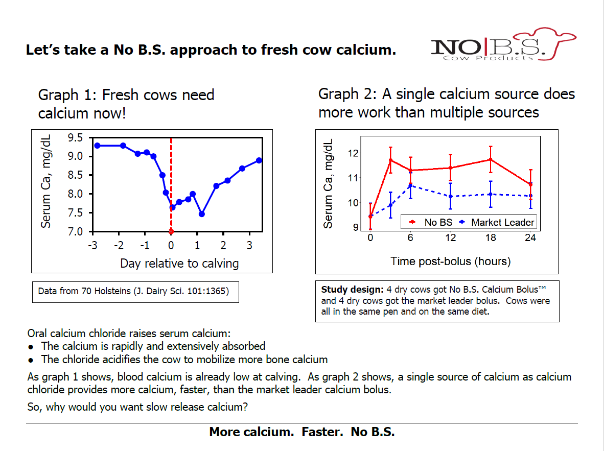 Two study graphs. Left: serum calcium falls sharply at calving in 70 Holstein cows. Right: serum calcium after a bolus stays higher over 24 hours with No B.S. than with the market-leader bolus.