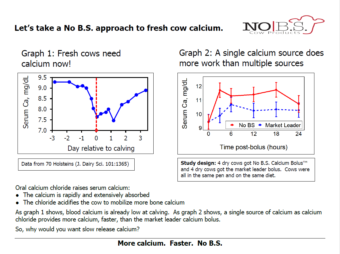 Two study graphs. Left: serum calcium falls sharply at calving in 70 Holstein cows. Right: serum calcium after a bolus stays higher over 24 hours with No B.S. than with the market-leader bolus.